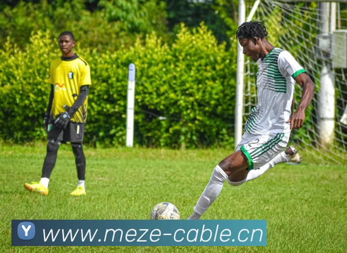 App Interface Preview